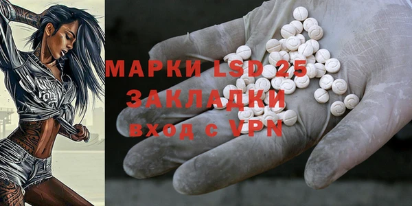 apvp Магадан