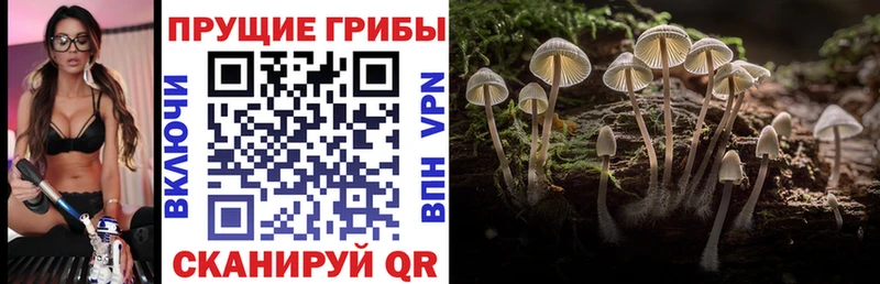 MEGA   Барнаул  Галлюциногенные грибы MAGIC MUSHROOMS 