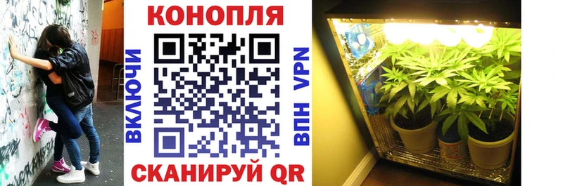 Марихуана MAZAR  закладка  Барнаул 